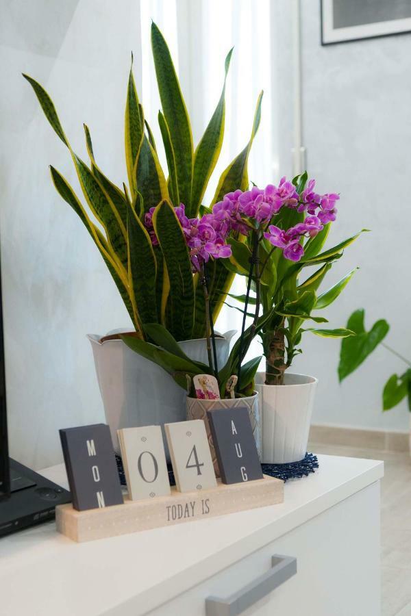 M&M House Apartment Rome Luaran gambar